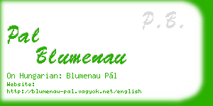 pal blumenau business card